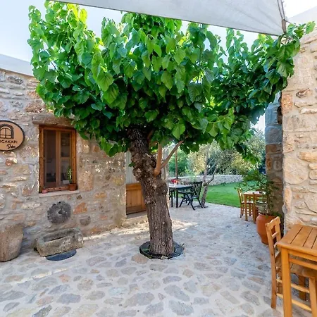 Nyaraló Gocakapi Datca Tasevler 2 *